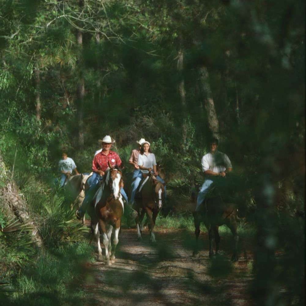 horseback riders through shady nature trail