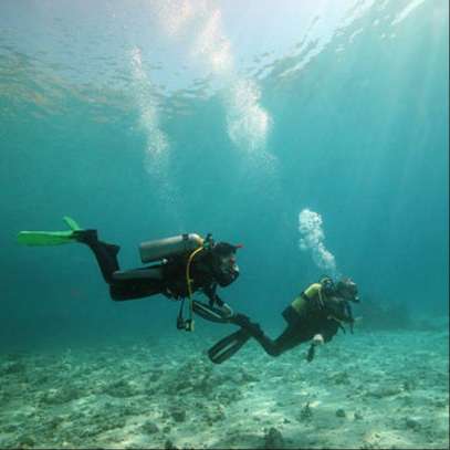 persons in full scuba wet suits underwater