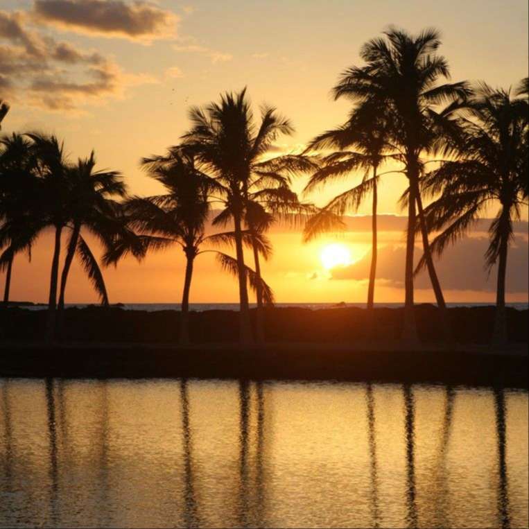 orange horizon sky above water reflection and all behind black silhouettes of palm trees