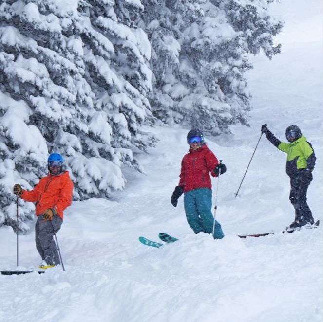 white snow on a downhill slope, coniferous trees behind three athletic skiers wearing warm puffy clothing